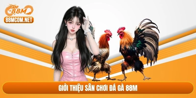 Giới thiệu sân chơi đá gà 88M