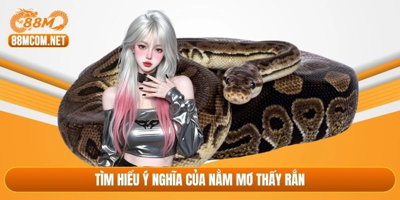 Tìm hiểu ý nghĩa của nằm mơ thấy rắn